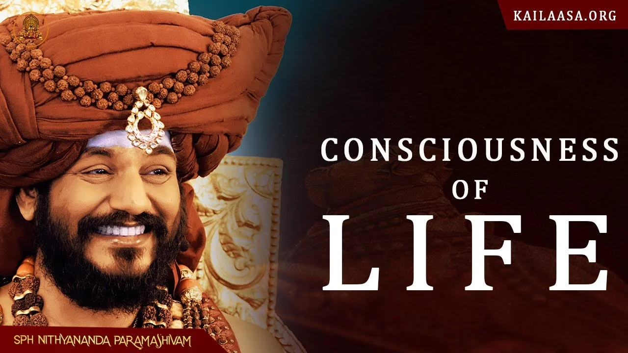 Move Into Deeper Consciousness - Shiva Sutras in Nithyananda Videos