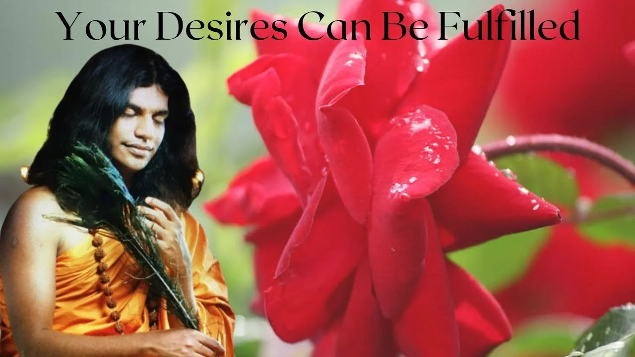 Your Desires Can Be Fulfilled || Day 1 || Session 3 || NSP || Mental Body || 14 February 2004 ||