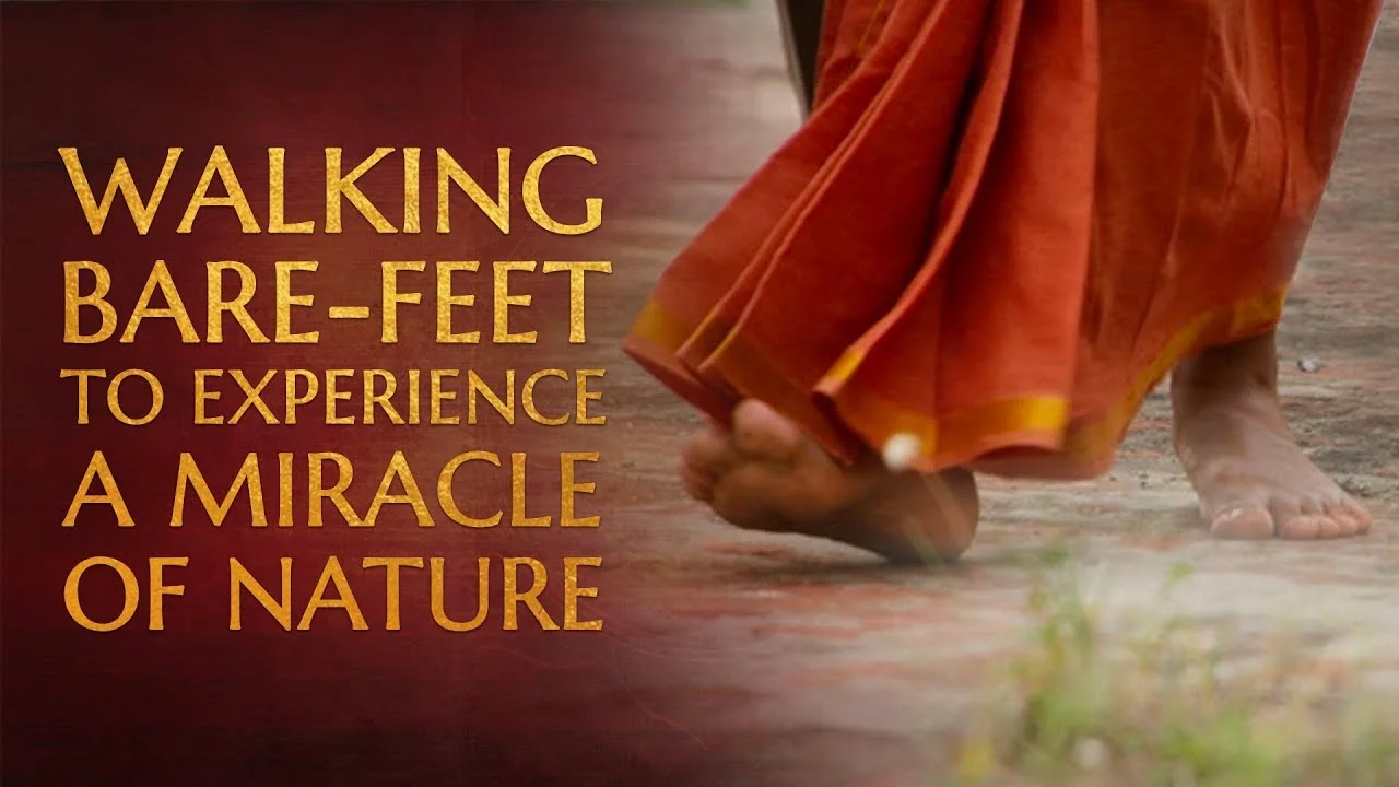 Walking Bare-feet on the Ground to Experience a Miracle of Mother Earth