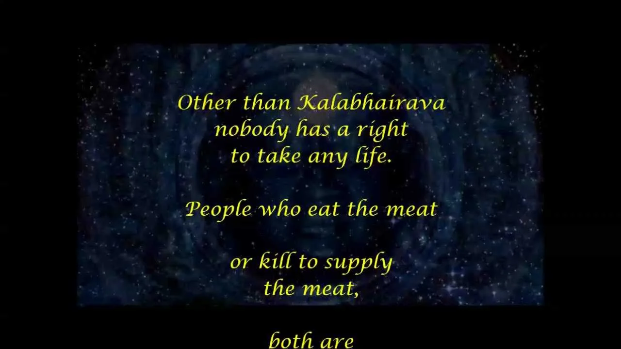 Akashic Readings on Death - part 5