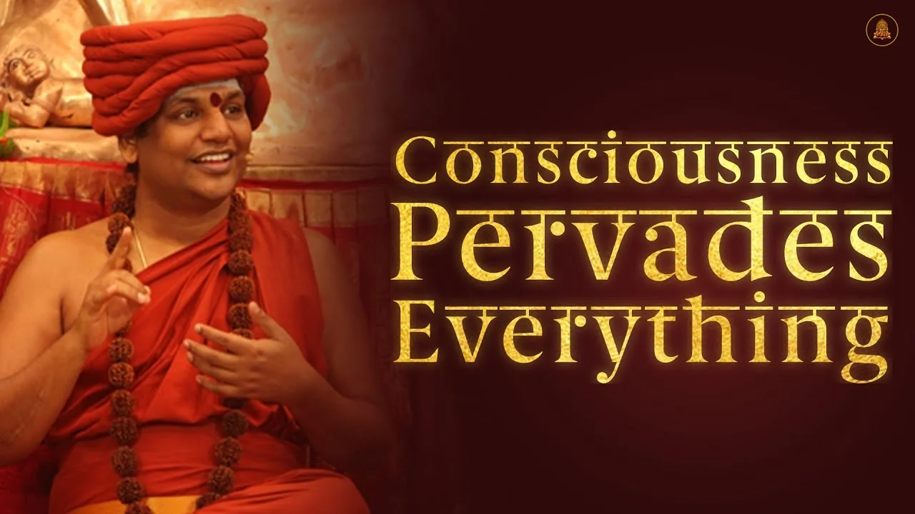 Consciousness Pervades Everything - Living Advaita Series | Nithyananda Satsang | 29 Jan 2015