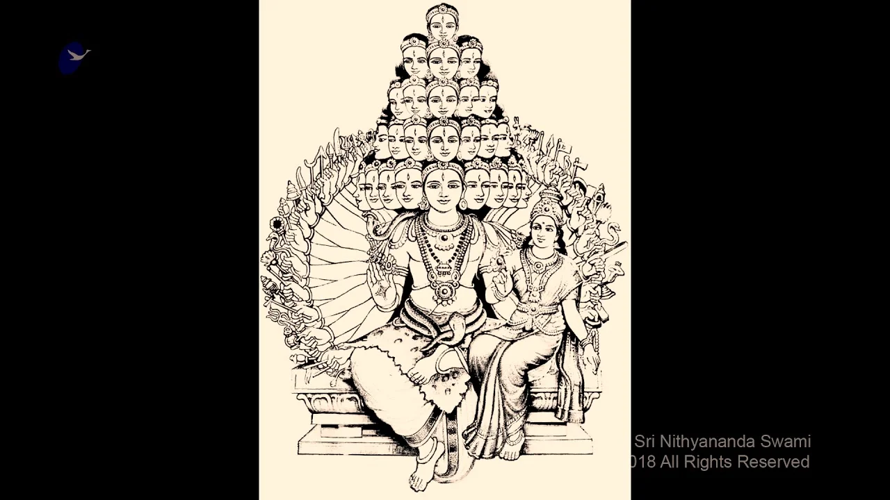 Visualization Meditation for Anti-Aging | Nithyananda Satsang | 08 Nov 2018