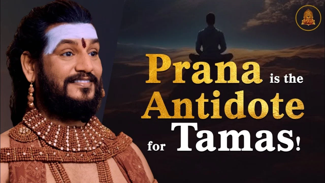 Experience the Power of Paramashiva's Teachings