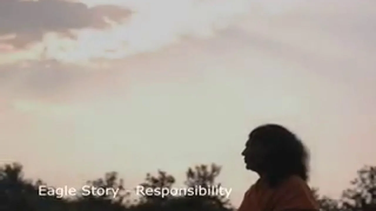 Responsibility - Short Nithyananda Videos