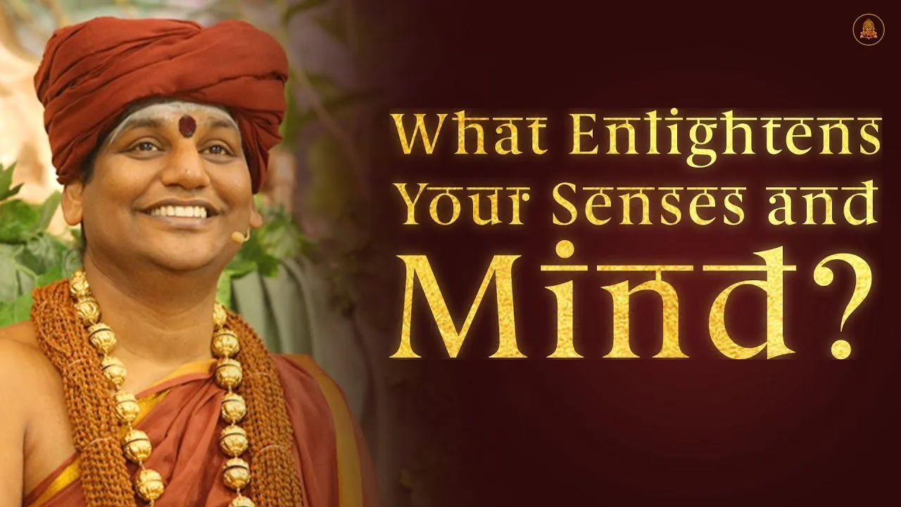 What Enlightens Your Senses and Mind? | Nithyananda Satsang | 19 Mar 2015