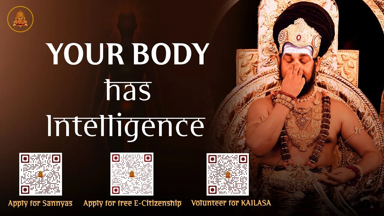 Reprogram your Body for Optimal Intelligence #bodybuilding #reprogramming #intelligence