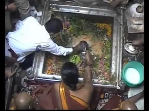 Rudrabishekam to Vishweshwara Jyotirlinga Kashi ViswanathaTemple