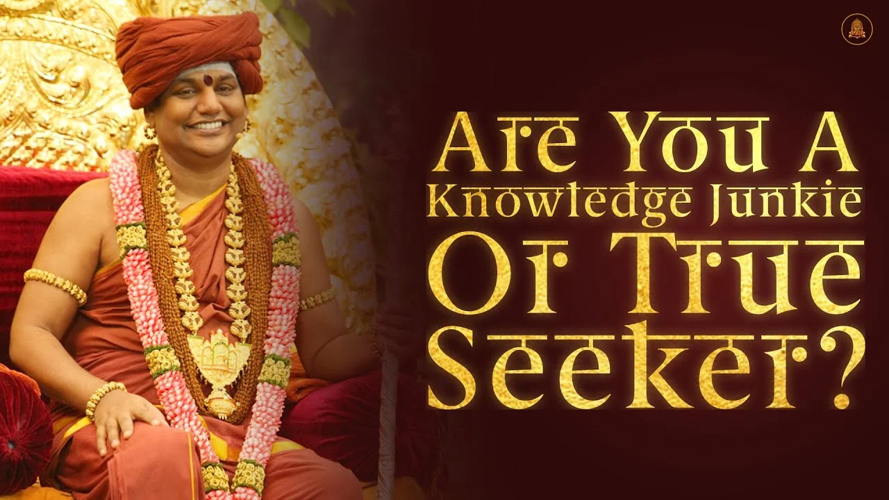 Are You A Knowledge Junkie Or True Seeker? | Nithyananda Satsang | 25 Apr 2015